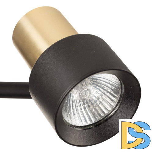 Спот Citilux Sat CL505621