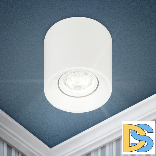 Накладной светильник Эра OL25-1 WH Б0054383