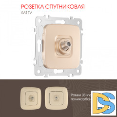 Розетка спутниковая SAT TV Arte Milano 205.42-1.shampan