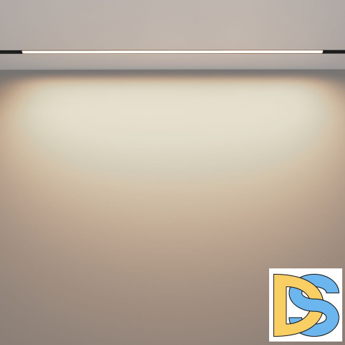 Трековый магнитный светильник Maytoni Basis TR030-2-30W3K-B