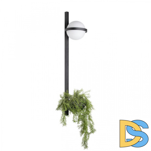 Настенный светильник Loft IT Jardin 10121W/B