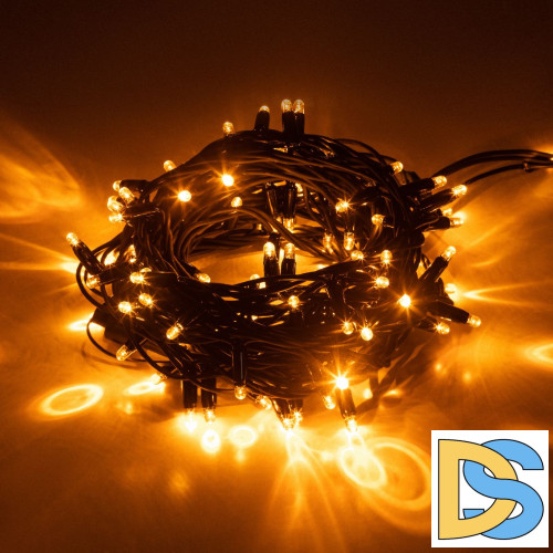 Светодиодная гирлянда Эра ERAPS-NZ2 Б0060544