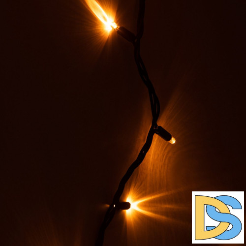 Светодиодная гирлянда Эра ERAPS-NZ2 Б0060544