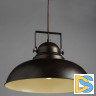 Подвесной светильник Arte Lamp Martin A5213SP-1BR