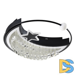 Потолочный светильник LED4U L8024-450 BK