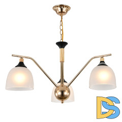 Подвесная люстра Escada Actinidia 2123/3P