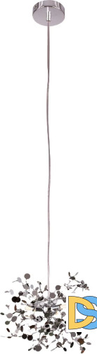 Подвесной светильник Lightstar Extra (721134+572104) L1P721134