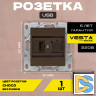 Розетка USB без рамки коричневая темная Vesta-Electric CHOCO