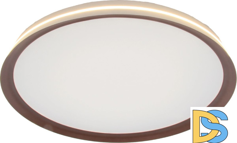 Потолочный светильник Mizi'en Titan MZ31502-430