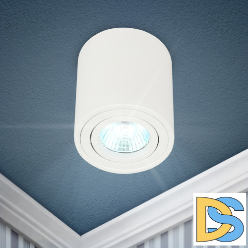 Накладной светильник Эра OL21 WH Б0054392