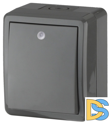 Выключатель с подсветкой Эра 11-1402-03 Б0020672