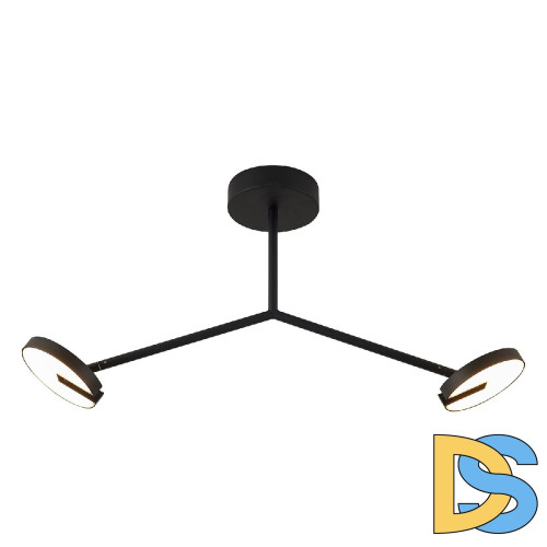 Потолочный светильник Favourite Paritet 4401-2C