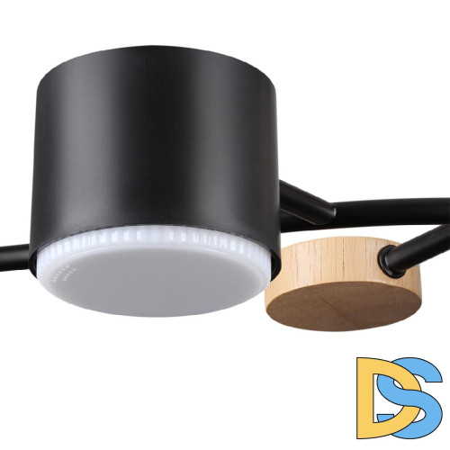 Люстра на штанге Lumion Crypto 8194/5C