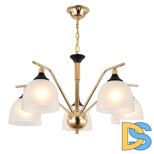 Подвесная люстра Escada Actinidia 2123/5P