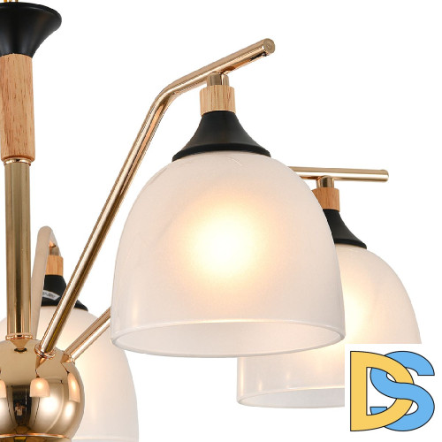 Подвесная люстра Escada Actinidia 2123/5P