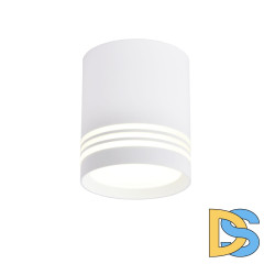 Накладной светильник Favourite Darar 3065-1C