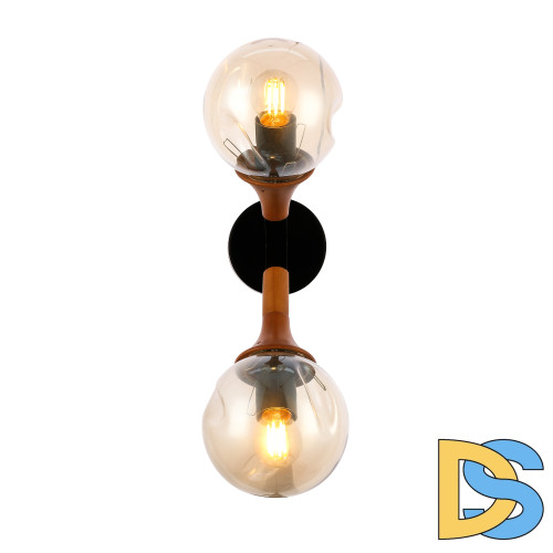 Настенный светильник EVOLUCE RAQUEL SLE109401-01