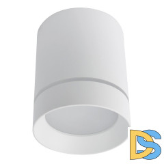 Потолочный светодиодный светильник Arte Lamp A1909PL-1WH