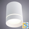 Потолочный светодиодный светильник Arte Lamp A1909PL-1WH