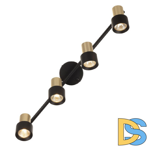 Спот Citilux Sat CL505641