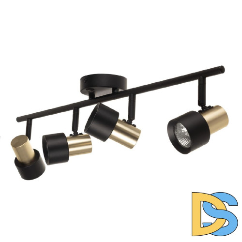 Спот Citilux Sat CL505641