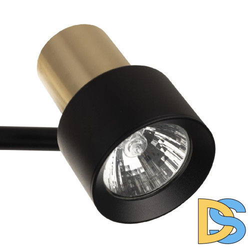 Спот Citilux Sat CL505641