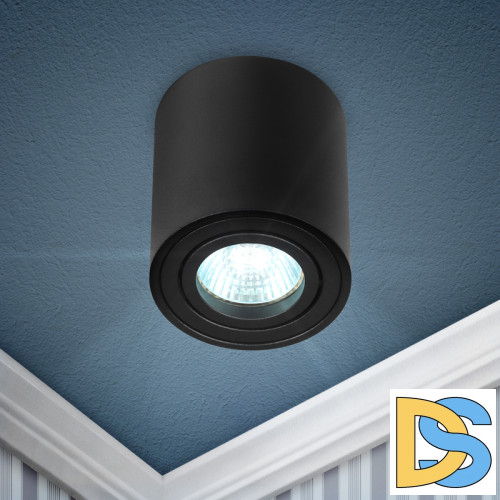 Накладной светильник Эра OL21 BK Б0054393