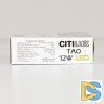 Накладной светодиодный светильник Citilux Тао CL712X120N