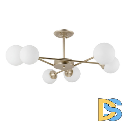 Люстра на штанге ARTE Lamp A2703PL-6SG