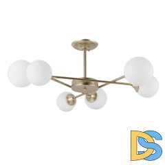 Люстра на штанге ARTE Lamp A2703PL-6SG