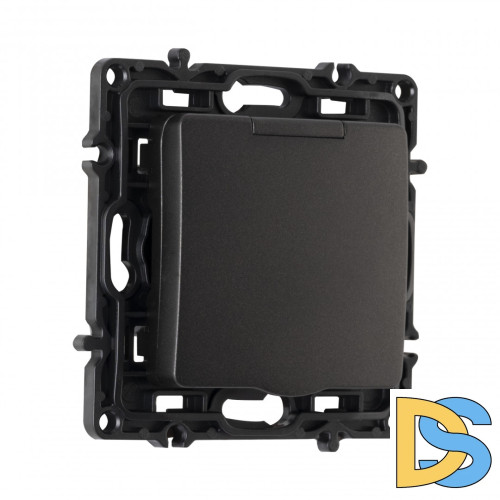 Розетка с заземлением, шторками и защитной крышкой Arte Milano 217.41-1.black