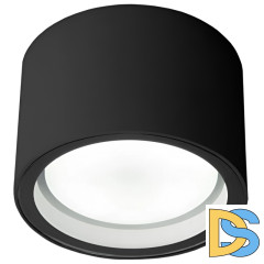 Уличный потолочный светильник Elektrostandard Light 4690389180835