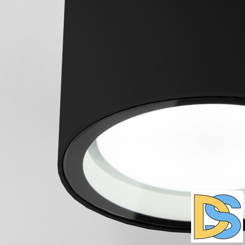 Уличный потолочный светильник Elektrostandard Light 4690389180835