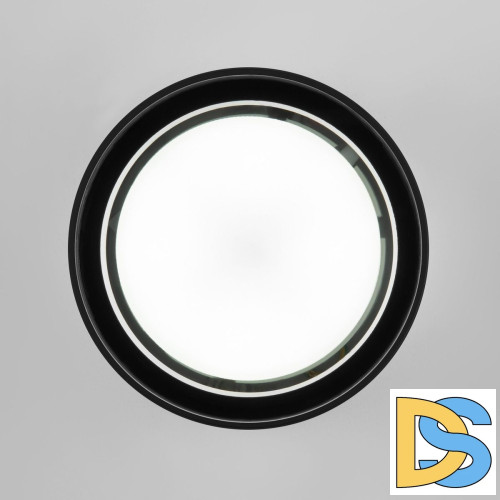 Уличный потолочный светильник Elektrostandard Light 4690389180835