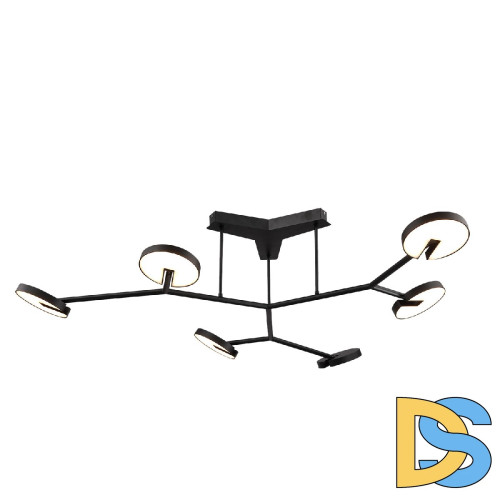 Потолочная люстра Favourite Paritet 4401-6C