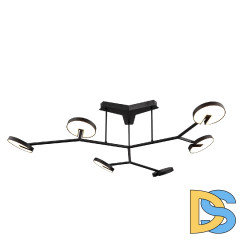 Потолочная люстра Favourite Paritet 4401-6C