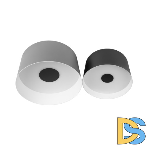 Потолочный светильник Loft IT Duo 10360/2