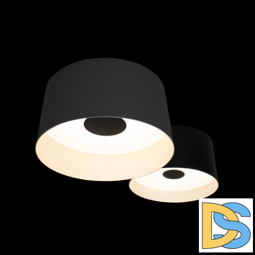 Потолочный светильник Loft IT Duo 10360/2