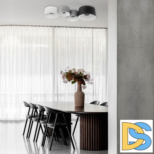 Потолочный светильник Loft IT Duo 10360/2