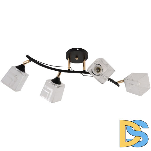 Спот Reluce 01594-3.3-04B BK+FGD