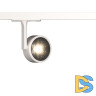 Трековый светильник Maytoni Oko TR024-1-10W3K