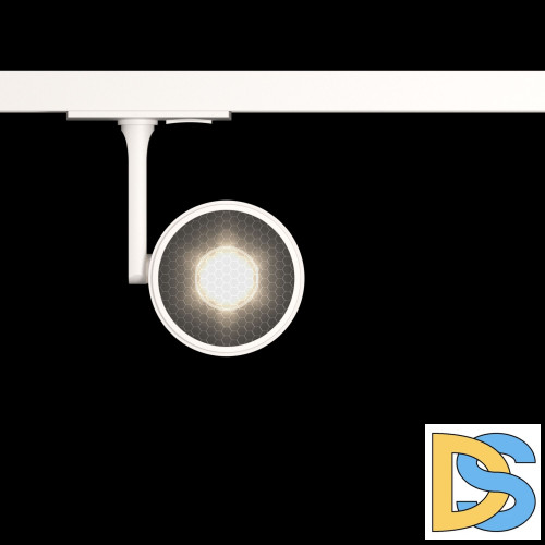 Трековый светильник Maytoni Oko TR024-1-10W3K