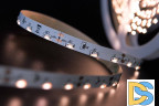 Светодиодная лента SWG SWG31560-12-4.8-WW 002201