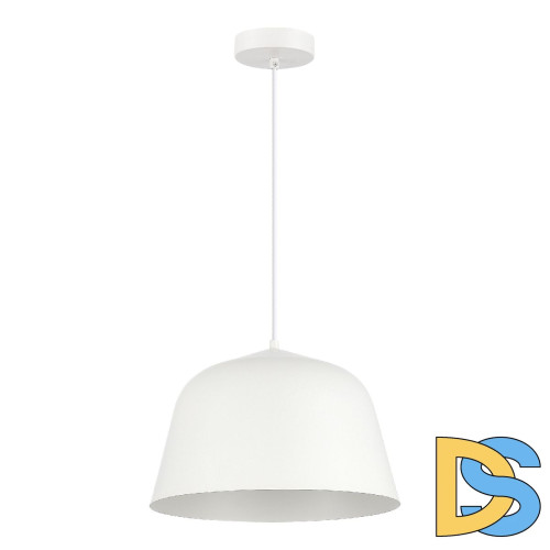 Подвесной светильник Evoluce Blank SLE1805-503-01