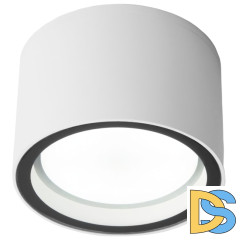 Уличный потолочный светильник Elektrostandard Light 4690389180828