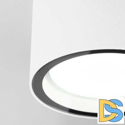 Уличный потолочный светильник Elektrostandard Light 4690389180828