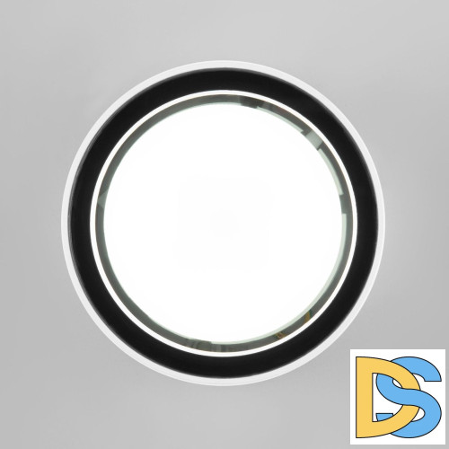 Уличный потолочный светильник Elektrostandard Light 4690389180828