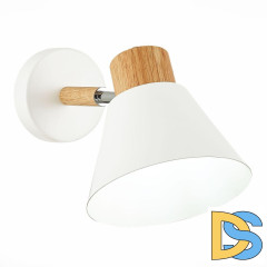 Спот Evoluce Buve SLE103701-01