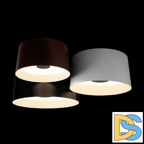 Потолочный светильник Loft IT Duo 10360/3