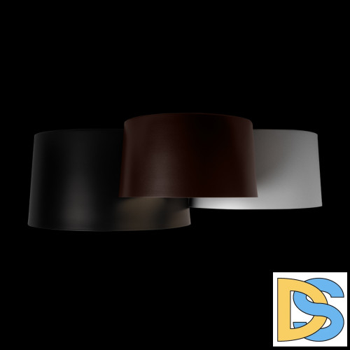 Потолочный светильник Loft IT Duo 10360/3